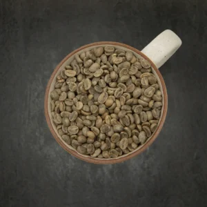 Colombia Castillo Washed